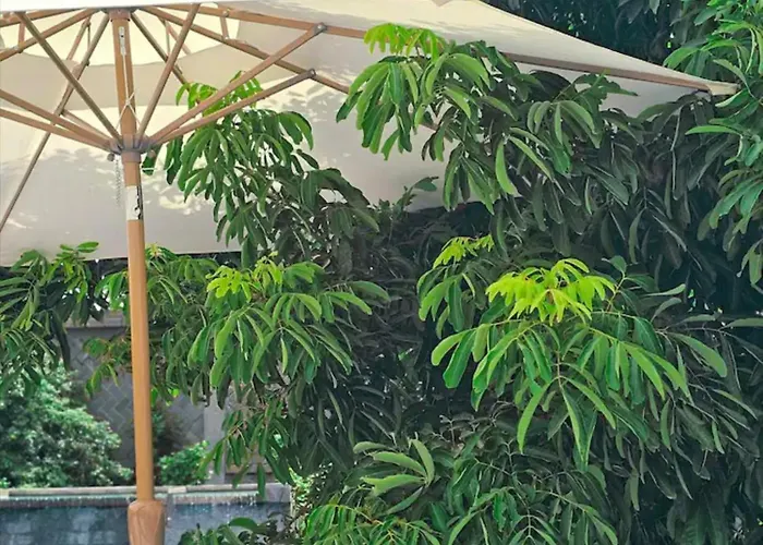 Angkor Rise Boutique Hotel *