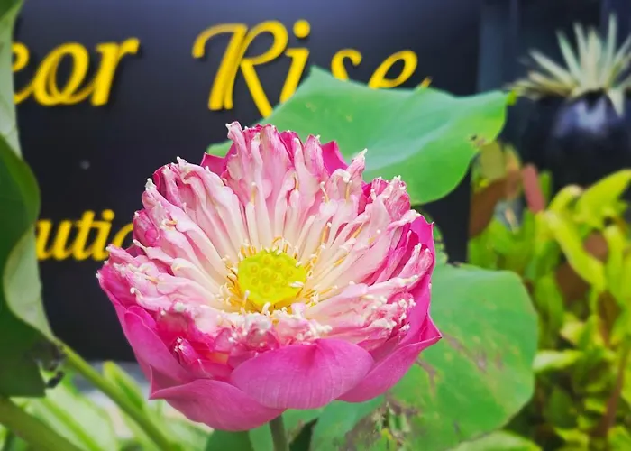 Angkor Rise Boutique * Siem Reap